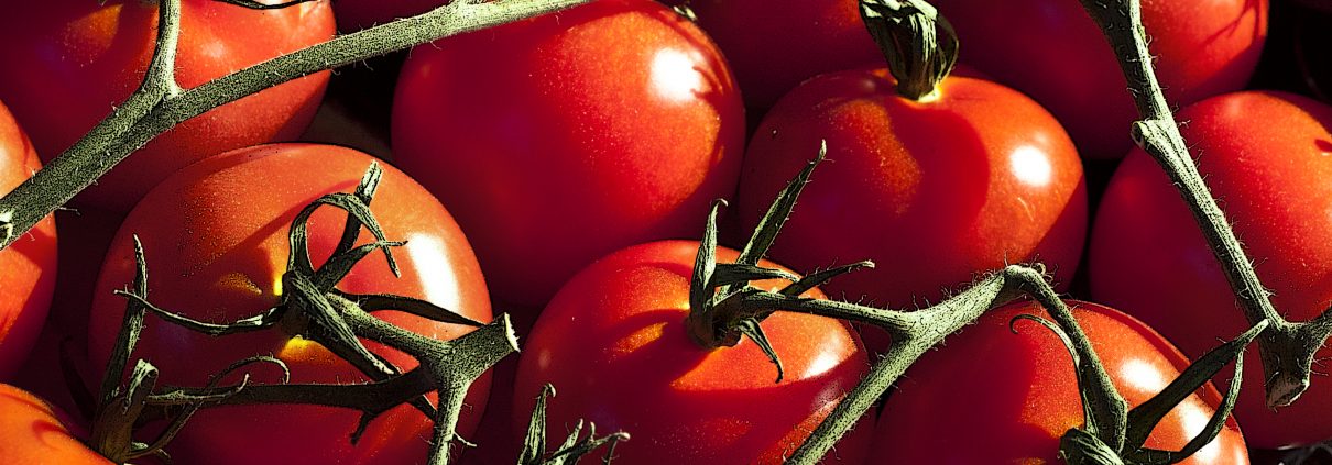 Tomatoes_777