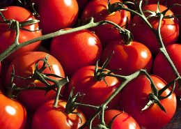 Tomatoes_777