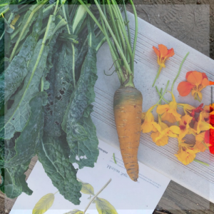 Produce and petals from 2022 Eatwell event